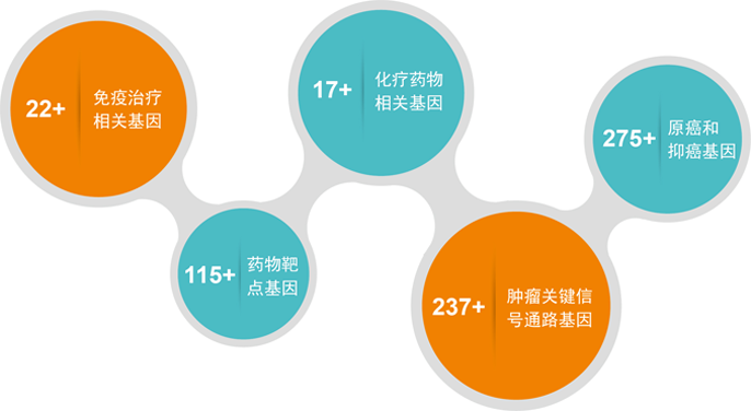 泛癌种基因检测